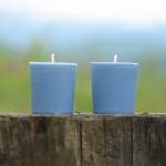 Nantucket Hydrangea Scented Soy Votives ~~made In..